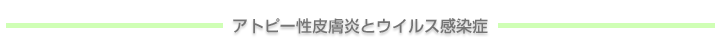 Ags[畆ƃEBX