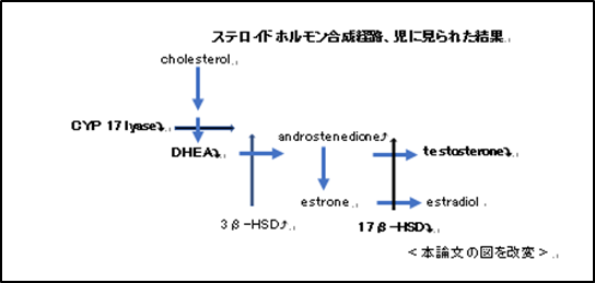 ステロイドホルモン合成経路、児に見られた結果