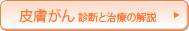 皮膚がん 診断と治療の解説